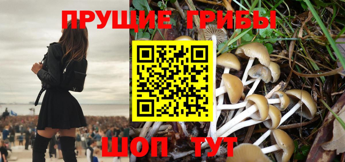 Галлюциногенные грибы GOLDEN TEACHER  Вход с VPN  как найти закладки  Галлюциногенные грибы GOLDEN TEACHER  Ленинск-Кузнецкий 